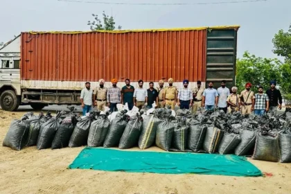 बठिंडा से 41 क्विंटल पोस्त किया बरामद, एक गिरफ्तार
