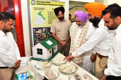 पंजाब अपने ब्रांड के तहत बाजार में उतारेगा रेशम उत्पाद