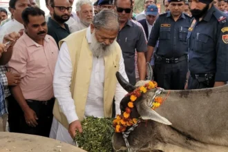 गौमाता का पालन-पोषण करने से बढ़ेगा राष्ट्र का गौरव - विज