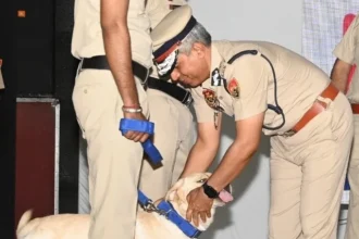 डॉग स्क्वायड में शामिल किए गए 27 प्रशिक्षित डॉग