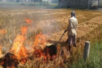 धान फसल अवशेष न जलाएं किसान