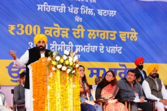 रिवायती पार्टियों ने सरहदी क्षेत्र के जांबाज लोगों की पीठ में छुरा घोंपा - सीएम