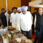 पंजाब सरकार की प्रगतिशील नीतियों ने बदली औद्योगिक तस्वीर चीमा
