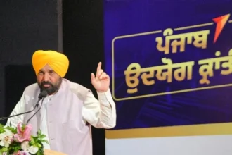 अब पंजाब बनेगा व्यापार और उद्योग का केंद्र - मान