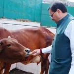 गोवर्धन पूजा के अवसर पर मुख्यमंत्री ने प्रदेश की खुशहाली की कामना की