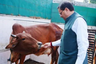 गोवर्धन पूजा के अवसर पर मुख्यमंत्री ने प्रदेश की खुशहाली की कामना की