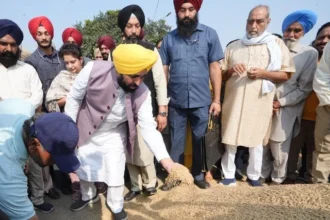 मान ने कहा—खराब मौसम से धान में नमी बढ़ी, केंद्र दे छूट