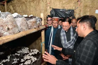 ग्रामीण अर्थव्यवस्था सशक्त करने की दिशा में ‘मशरूम ग्राम’ पहल