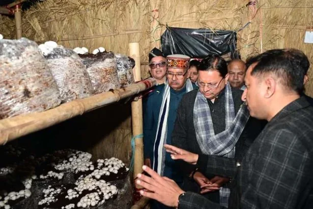 ग्रामीण अर्थव्यवस्था सशक्त करने की दिशा में ‘मशरूम ग्राम’ पहल