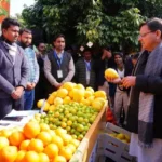 दिल्ली में भी आयोजित होगा उत्तराखंड माल्टा महोत्सव सीएम