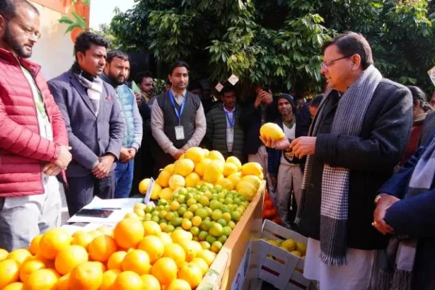 दिल्ली में भी आयोजित होगा उत्तराखंड माल्टा महोत्सव सीएम