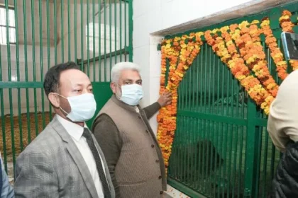 तीन महीने पूरे होने पर बड़े बाड़े में छोड़े जाएंगे बाघिन के बच्चे