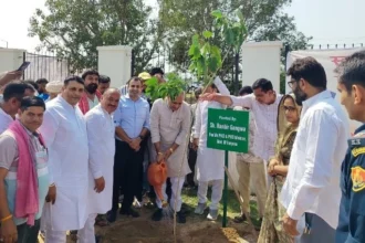 सेवा संकल्प अभियान के दौरान गंगवा ने पौधारोपण कर पर्यावरण संरक्षण का किया आह्वान